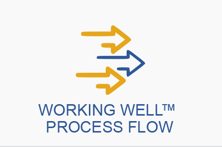Working Well Process Flow